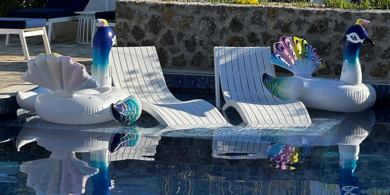 3115a281-01e8-4072-ab9d-d89560b12e5a